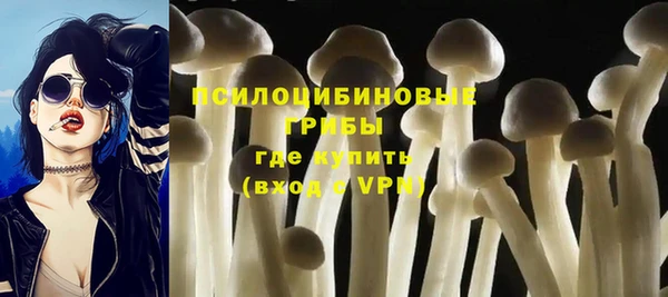 метадон Богородицк