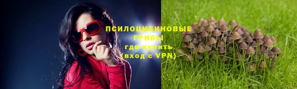 экстази Богданович
