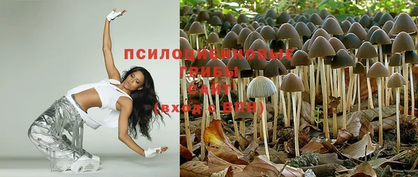 спайс Беломорск