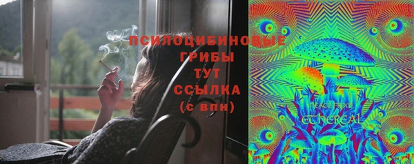 MDMA Бородино